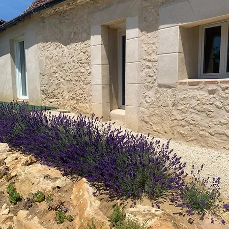 La Grange En Pierre - Chic & Piscine Privee * Queyssac